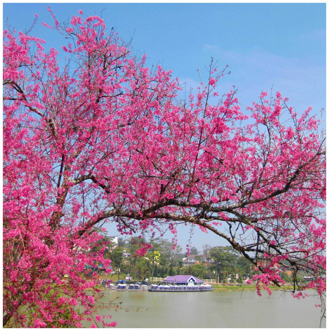Top 15 most beautiful destinations in Vietnam to visit Top 15 most beautiful destinations in Vietnam to visit