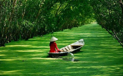 7 Essential Attractions to Visit in the Mekong Delta 7 Essential Attractions to Visit in the Mekong Delta