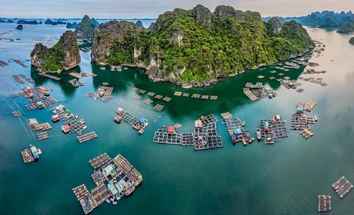 Halong Bay Floating Village Guide 2026: Best Villages to Visit & Authentic Local Experiences