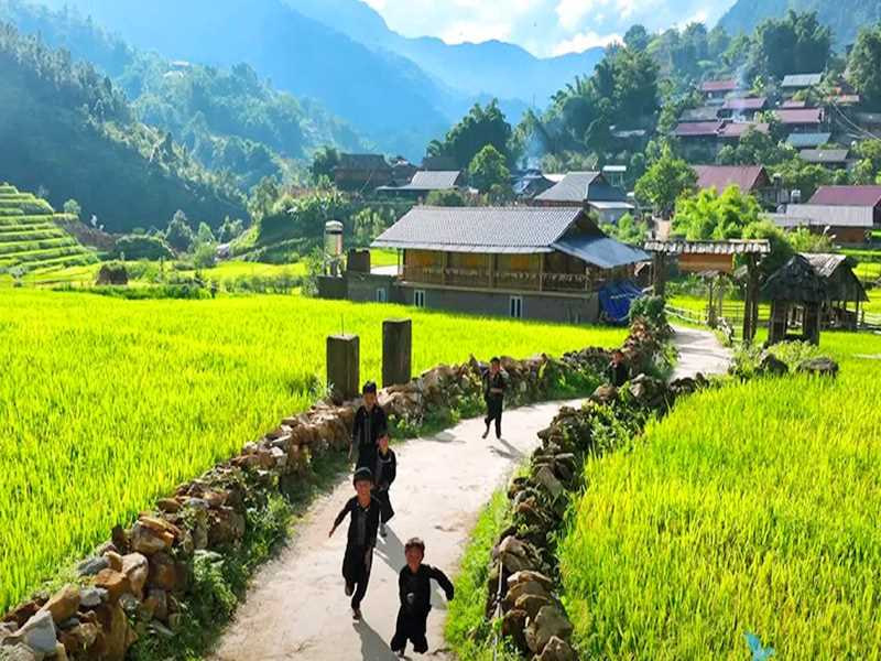 Best Time to Visit Sapa, Vietnam in 2026: Weather, Seasons & Travel Tips Best Time to Visit Sapa, Vietnam in 2026: Weather, Seasons & Travel Tips