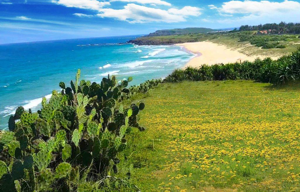 Phu Yen, Vietnam Travel Guide 2026: Discover Vietnam’s Hidden Coastal Paradise Phu Yen, Vietnam Travel Guide 2026: Discover Vietnam’s Hidden Coastal Paradise